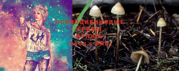 тгк Бородино