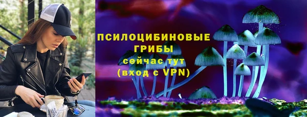 ешки Верхний Тагил