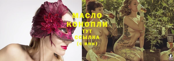 тгк Бородино